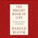 The Bright Book of Life: Novels to Read and Reread