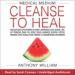 Medical Medium Cleanse to Heal