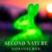 Second Nature: Scenes from a World Remade
