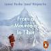 From a Mountain in Tibet: A Monk's Journey