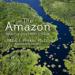 The Amazon: What Everyone Needs to Know