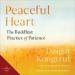 Peaceful Heart: The Buddhist Practice of Patience