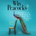Why Peacocks?