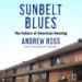 Sunbelt Blues: The Failure of American Housing