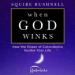When God Winks