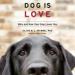 Dog Is Love: Why and How Your Dog Loves You