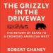 The Grizzly in the Driveway