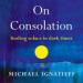 On Consolation: Finding Solace in Dark Times