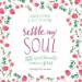 Settle My Soul: 100 Quiet Moments to Meet with Jesus