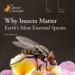 Why Insects Matter: Earth's Most Essential Species