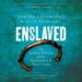 Enslaved: The Sunken History of the Transatlantic Slave Trade