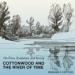 Cottonwood and the River of Time