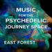 Music for the Psychedelic Journey Space