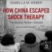 How China Escaped Shock Therapy