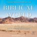 The Oxford History of the Biblical World