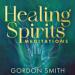 Healing Spirits Meditations