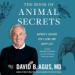 The Book of Animal Secrets