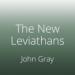 The New Leviathans: Thoughts After Liberalism
