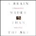 A Brain Wider Than the Sky: A Migraine Diary