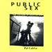 Public Sex: The Culture of Radical Sex