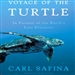 Voyage of the Turtle