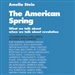The American Spring: What We Talk About When We Talk About Revolution