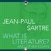 What Is Literature?: And Other Essays
