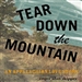 Tear Down the Mountain: An Appalachian Love Story