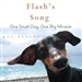 Flash's Song: How One Small Dog Turned into One Big Miracle