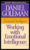 Working with Emotional Intelligence