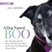 A Dog Named Boo