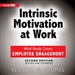 Intrinsic Motivation at Work: What Really Drives Employee Engagement