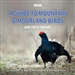 A Guide to Mountain and Moorland Birds