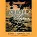 The Silver Spoon