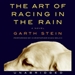 The Art of Racing in the Rain