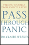 Pass Through Panic