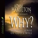 Why: Making Sense of God's Will