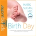 Birth Day: A Pediatrician Explores the Science, the History, and the Wonder of Childbirth