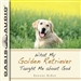 What My Golden Retriever Taught Me About God