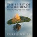 The Spirit of Disobedience: Politics, Consumption, and the Culture of Total Work