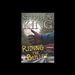 Riding the Bullet