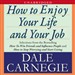 How to Enjoy Your Life and Your Job