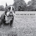 You Had Me at Woof: How Dogs Taught Me the Secrets of Happiness
