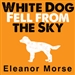 White Dog Fell from the Sky