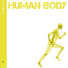 Human Body