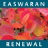 Renewal: A Little Book of Courage & Hope