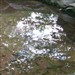 Clear as a Bell: Dongshan's How Dirty Is the Water
