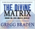 The Divine Matrix