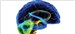 Understanding the Brain