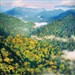 Earth at the Crossroads: Understanding the Ecology of a Changing Planet